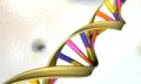 Genetically modified after a sleepless night
