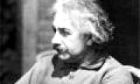 Genius Einstein - 'Solitary wolf'