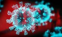 German and American scientists: SARS-CoV-2 virus is likely a product of a laboratory