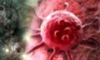 Getting cancer cells to self-destruct - breakthrough in treatment of the problem of the century