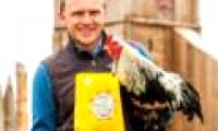 'Giant' chicken in England