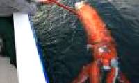 Giant ink is 4 meters long