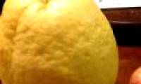 Giant lemon
