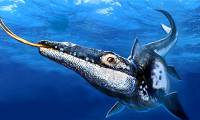 Giant 'monster dragon' revealed, 90 million year old relative of snake