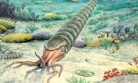 Giant volcano erased life on Earth
