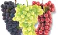 Grapes - good remedy against high blood pressure