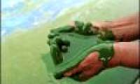 Great biofuel from algae