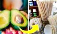 Great invention for the environment: The idea of ​​genius in the era of plastic garbage to the throne