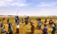 Green agriculture in Africa