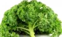 Guidelines for joint protection help you ensure health
