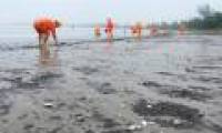 Ha Long Bay is the most polluted oil in the country