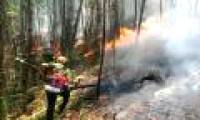 Ha Tinh has forest fires, hundreds of people put out fires in the hot sun