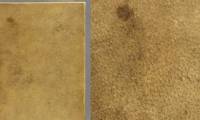 Harvard University removed the human skin used as a book cover