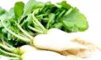 Health benefits of radish