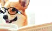 Hi Dog year, find out the incredibly unexpected facts about this man's