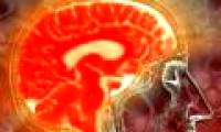 High levels of estrogen directly affect the brain