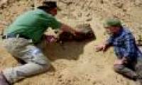 High winds exposed 2000-year-old mummies in the sand that surprised archaeologists