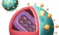 HIV becomes more dangerous?