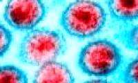 HIV-infected baby girl is cured