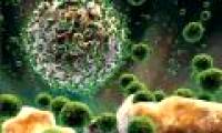 HIV-infected people of monkeys