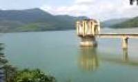 'Hoan Kiem turtle' appears in Yen Lap lake, Quang Ninh