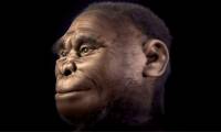 Hominids that lived about 18,000 years ago may still exist