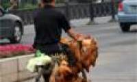 Hong Kong confirmed the first H7N9 infection