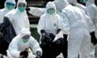 Hong Kong discovered more cases of the 6th flu H7N9