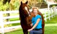 Horses know how to read people's emotions