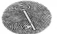 How are fingerprints formed?