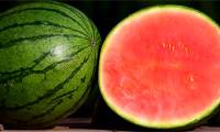 How are seedless fruits made?