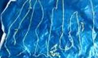 How dangerous is the tapeworm infection?