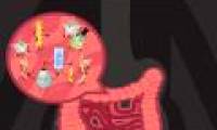How does food strongly affect the intestinal tract?