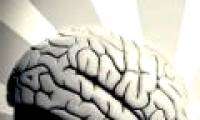 How does man work if only half of his brain is left?
