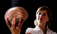 How does the brain handle speech?