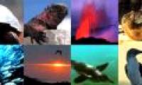 How does the Galapagos Islands change the world?