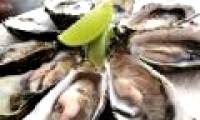 How has the story of cultivating oysters in tires become a disaster?