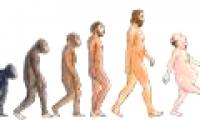 How humans will evolve in 100,000 years