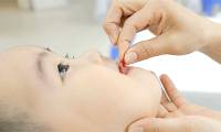 How important are micronutrients to the human body?