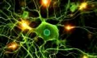 How is memory formed and recreated?