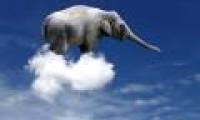 How many elephants are a cloud?