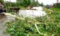 How many storms did Vietnam suffer in August?