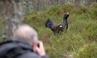 How social media is threatening rare animals and plants?