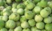 How to choose delicious melon without sucking 'chemical'