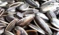 How to choose sunflower seeds safely