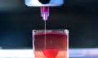 How to create organs using 3D printing technology