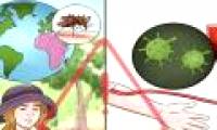 How to diagnose, treat and prevent malaria