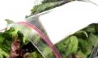 How to keep fresh vegetables without preservatives