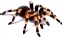 How to overcome fear most effectively
