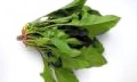 How to preserve spinach to increase nutritional value